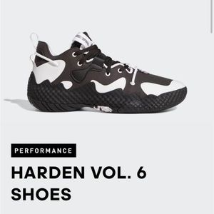 Adidas Harden Vol 6 & Nike Witness TWO PAIRS OF SHOES